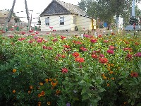 �����������