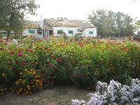 �����������