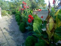 �����������