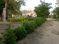 �����������